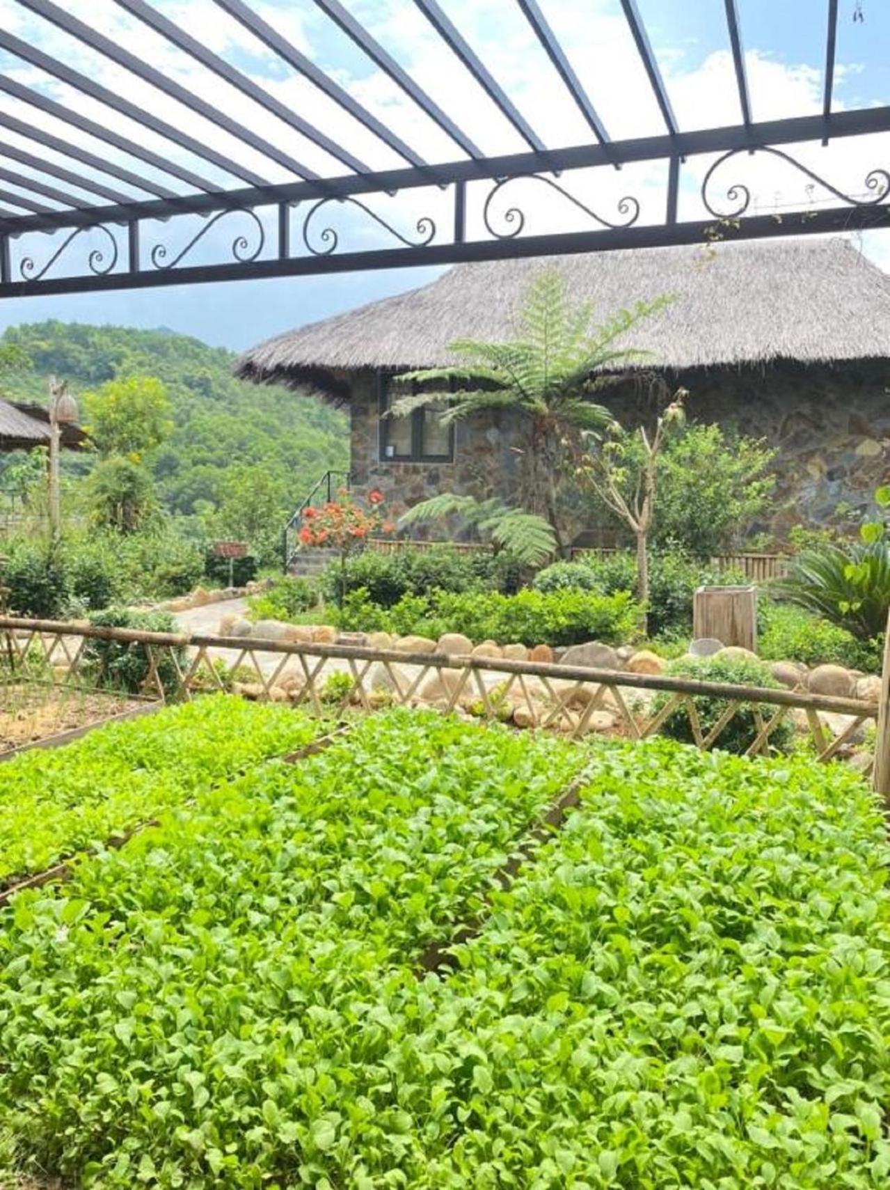 Muong Lo Retreat Nghia Lo Villa Yen Bai Bagian luar foto